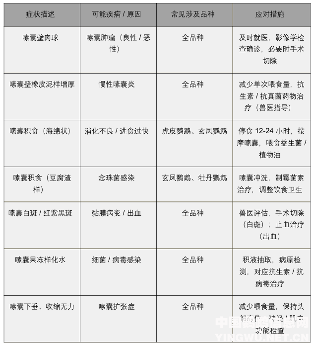 鹦鹉疾病自查表大全（整合版）